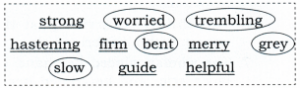 II. Work in pairs. Read the words given below. Circle the words you would associate with an elderly person and underline the words you would associate with a school student. Share the reasons for your choices with your classmates and teacher.