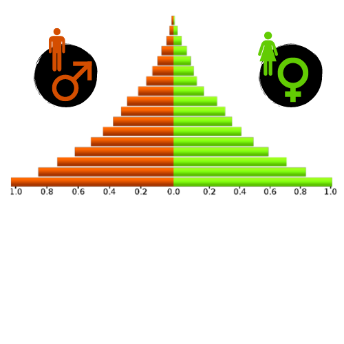A population pyramid