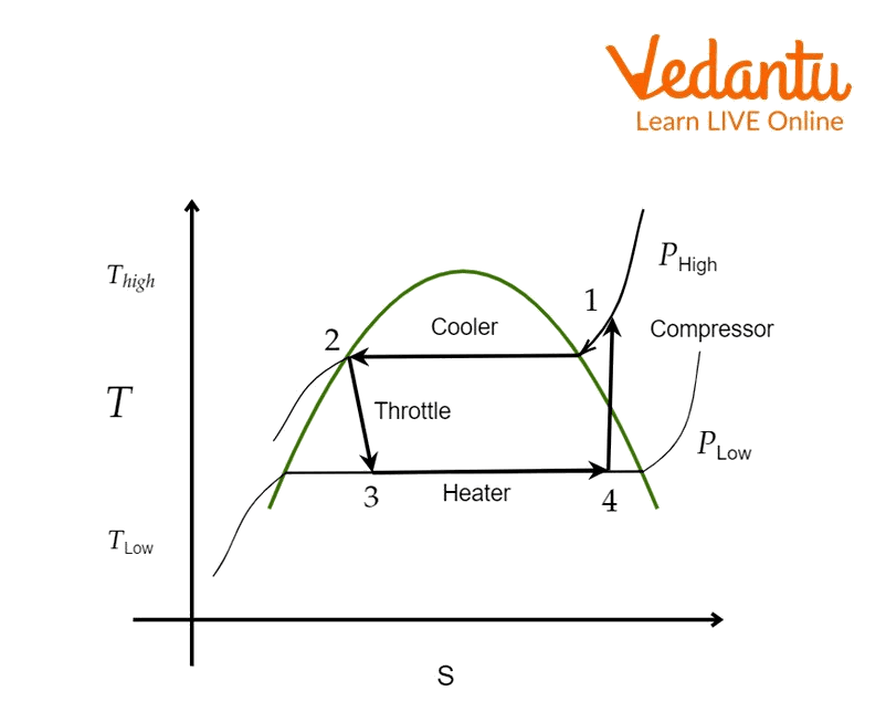 TS diagram