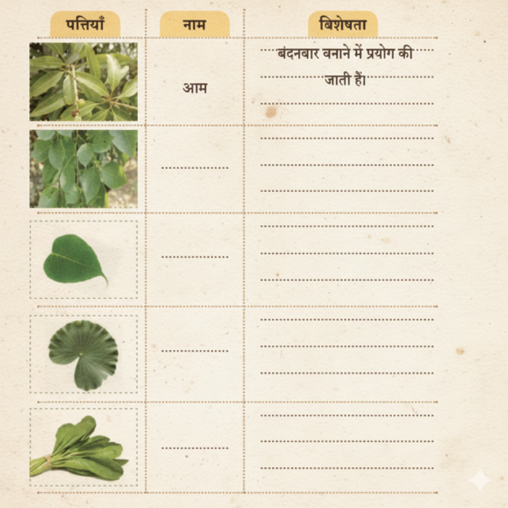 पत्तियों को पहचानिए और इनके नाम तथा विशेषताएँ अपने अध्यापकों तथा अभिभावकों की सहायता से लिखिए