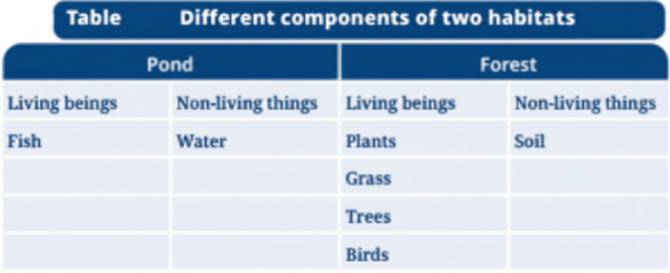 Record your observations in the Table