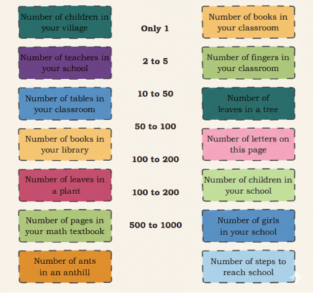 Identify the range of numbers most suitable for the following situations. Share your thoughts.