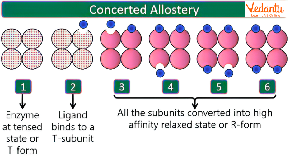 Concerted Allostery