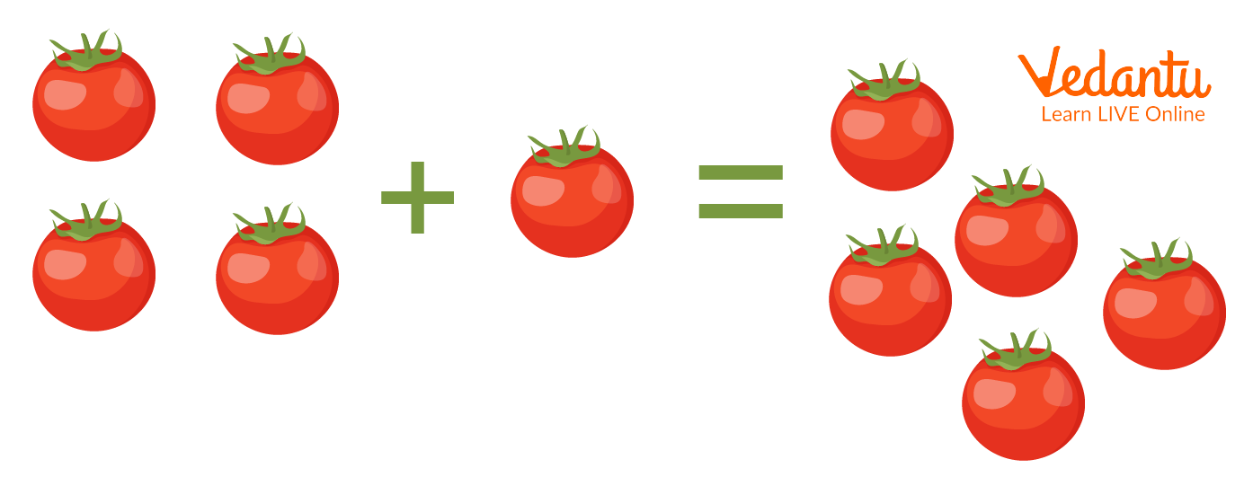 The Sum of 4 Tomatoes with 1