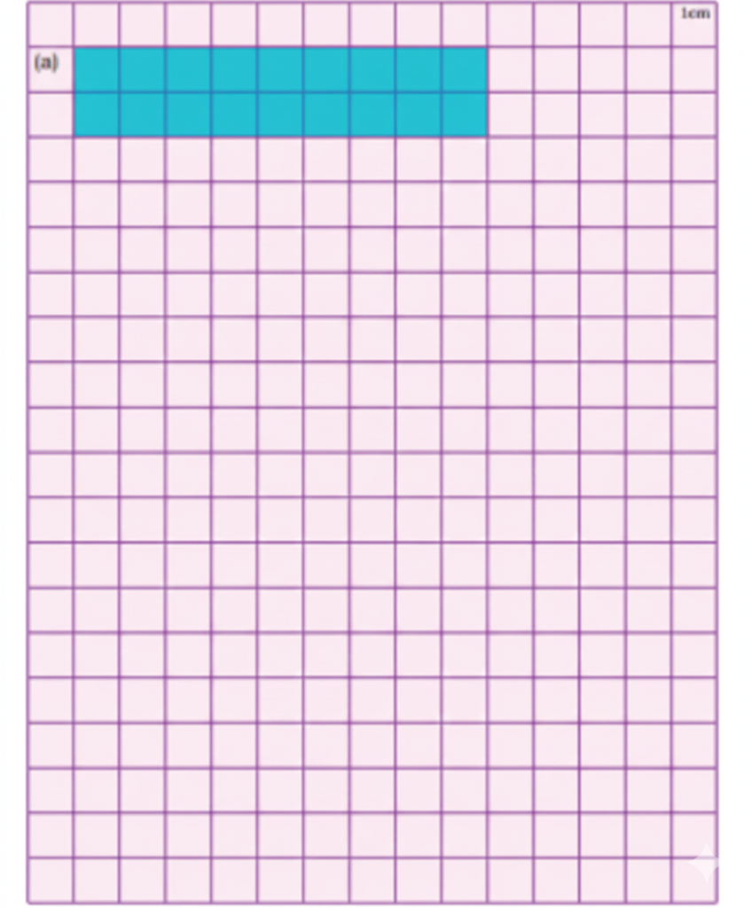 Tick the shapes with the same perimeter. Find the areas of these shapes