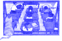 solution of Mark Jagat’s position in the picture