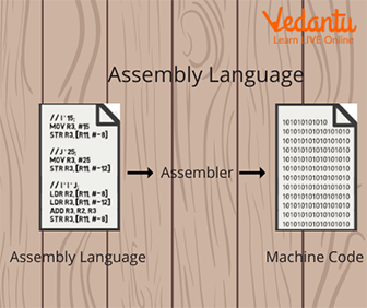 The processing of Assembly Language