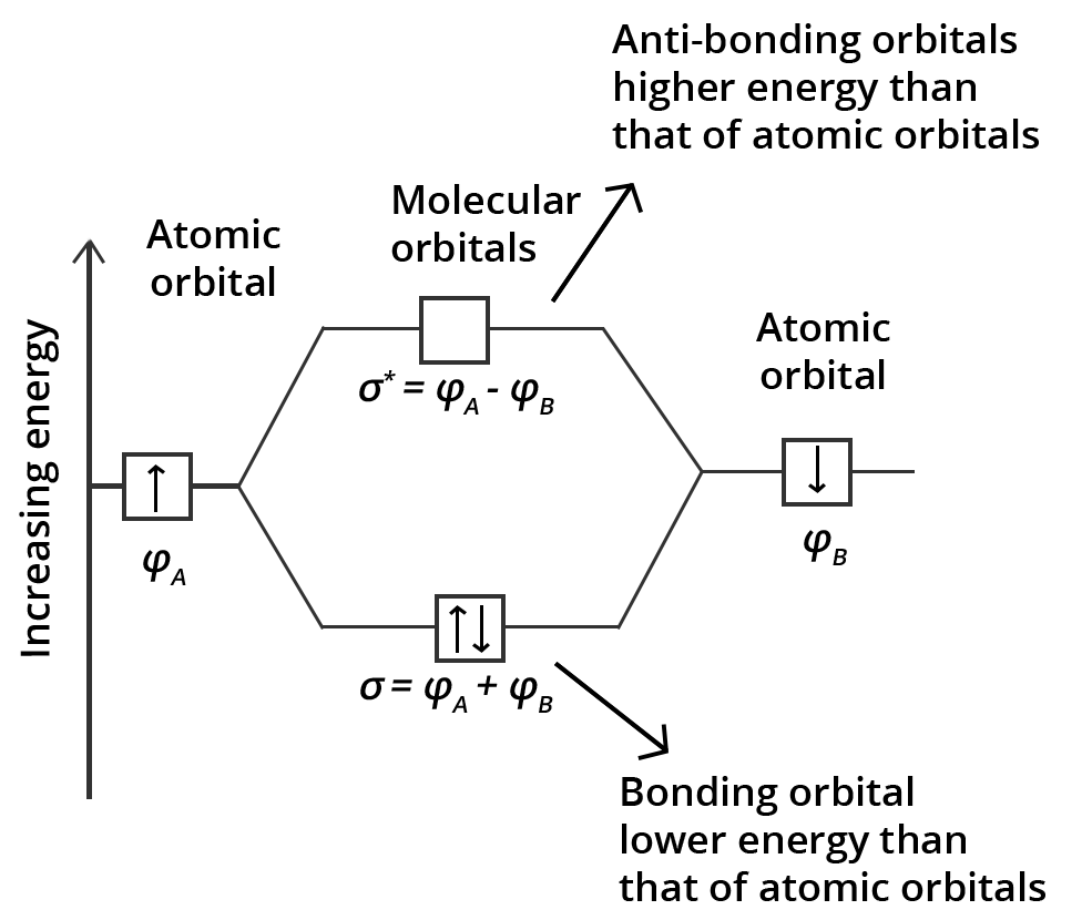 Formation of molecular orbital by LCAO