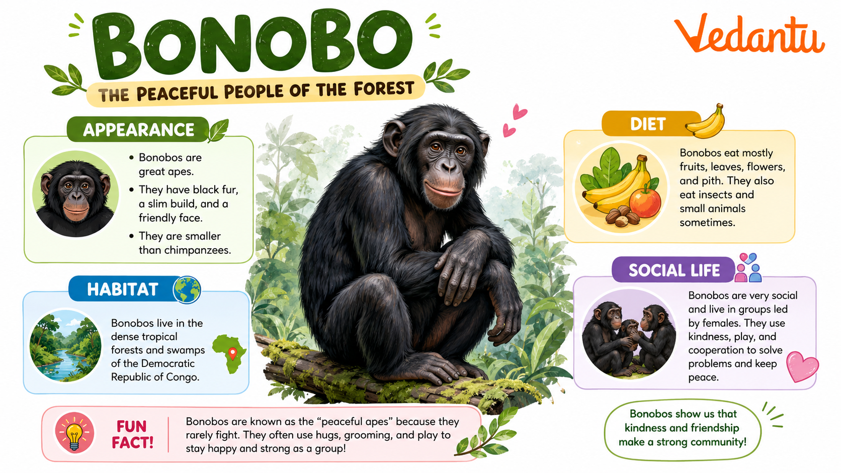 Bonobo
