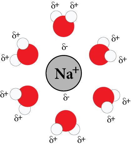 Ion-Dipole Interaction