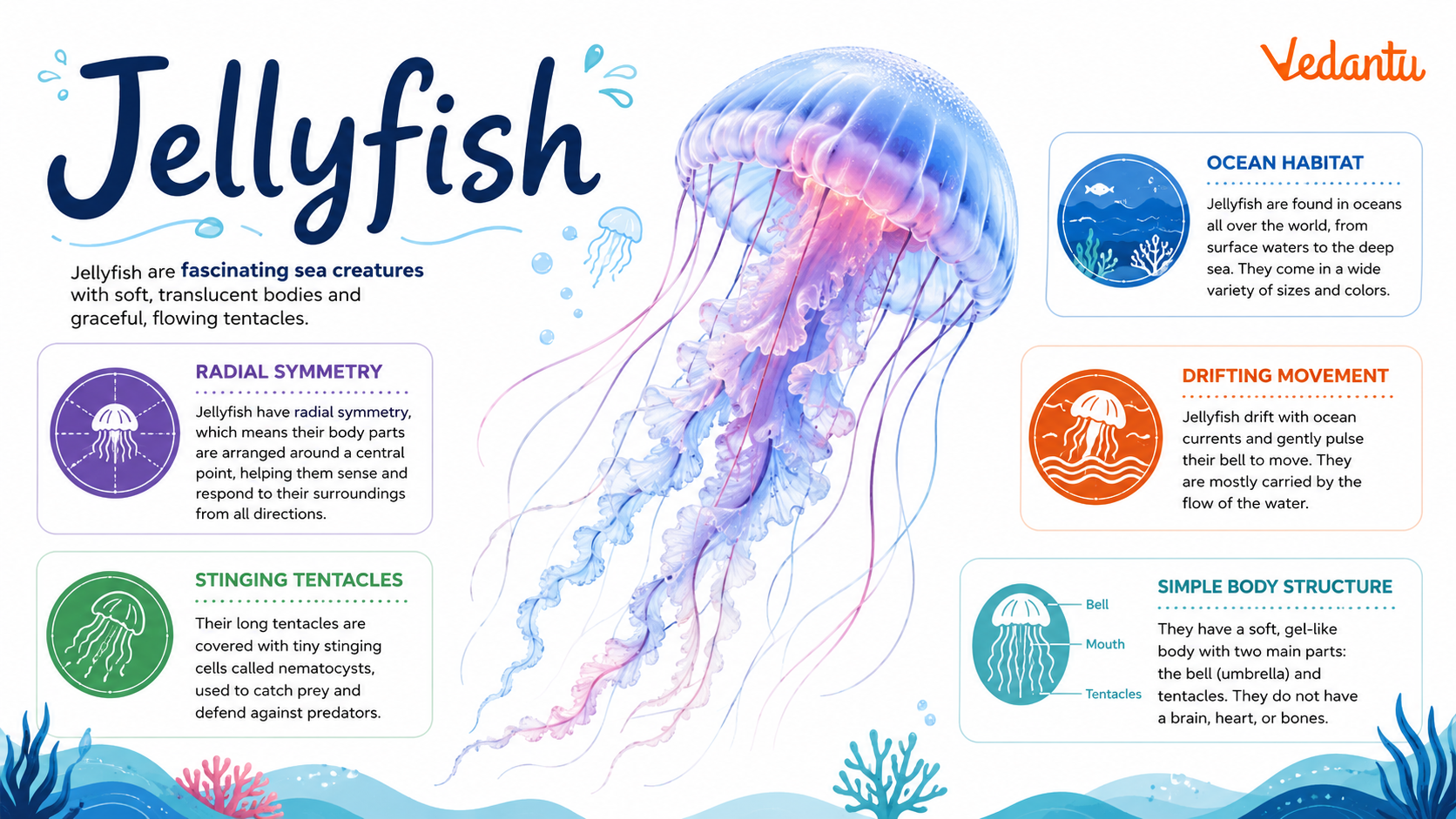 Jellyfish floating in the ocean water