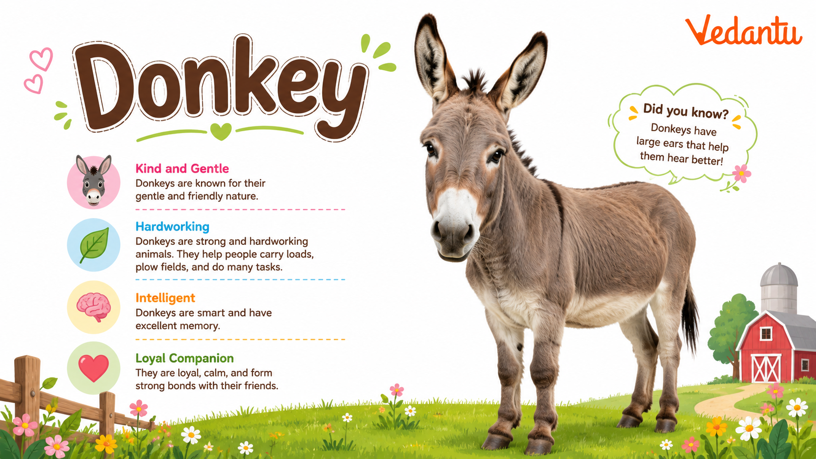 Donkey standing in a field