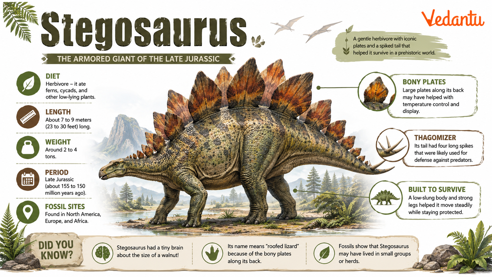 Stegosaurus dinosaur with large back plates and spiked tail