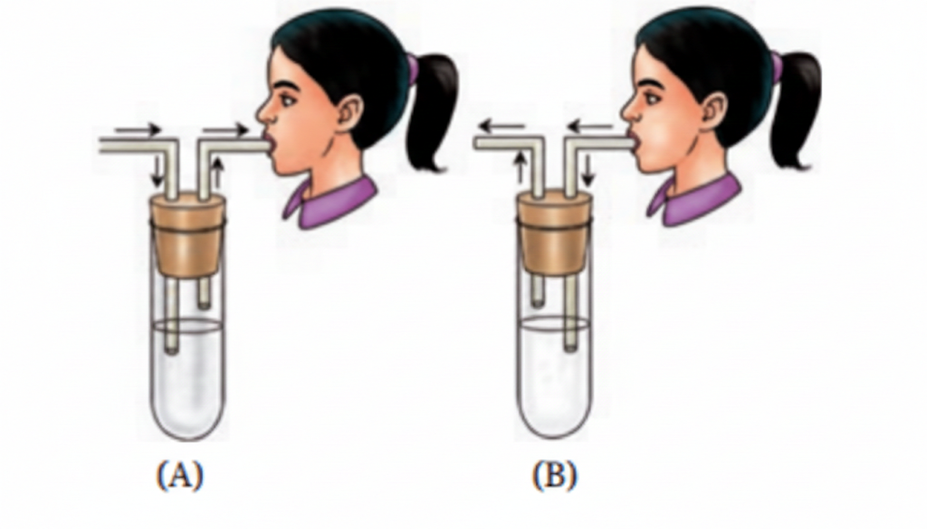 Fig. 9.16 Experimental set-up