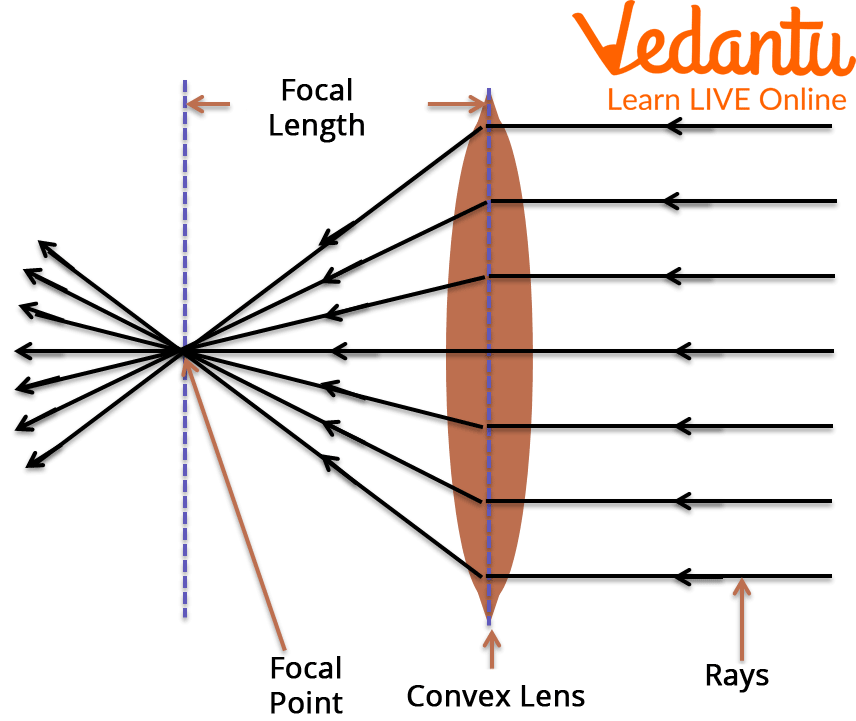 Convex Lens