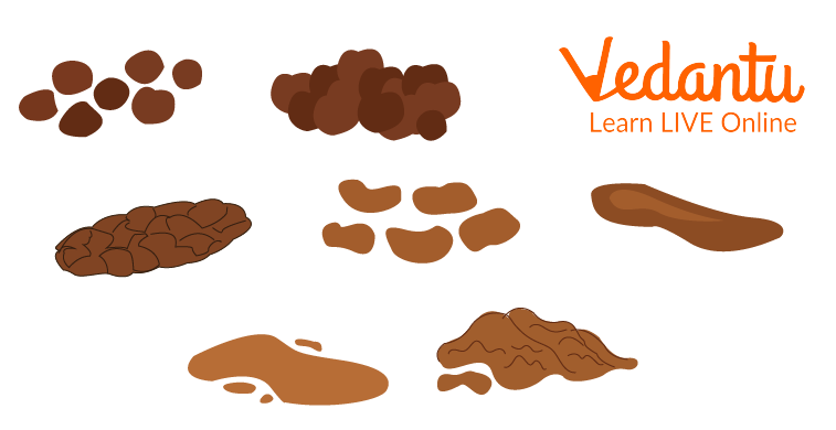 Poop Profile