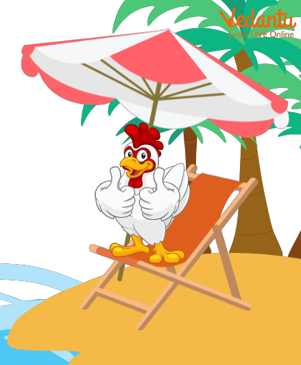 A chicken Enjoying a Holiday at the Beach