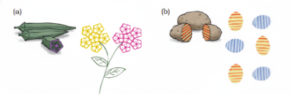 Create symmetrical patterns and designs using vegetable blocks