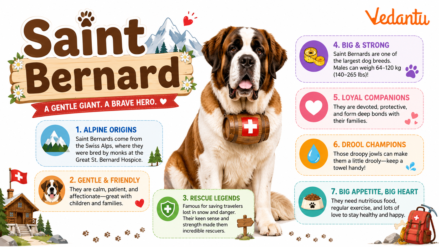 Saint Bernard dog standing in snow