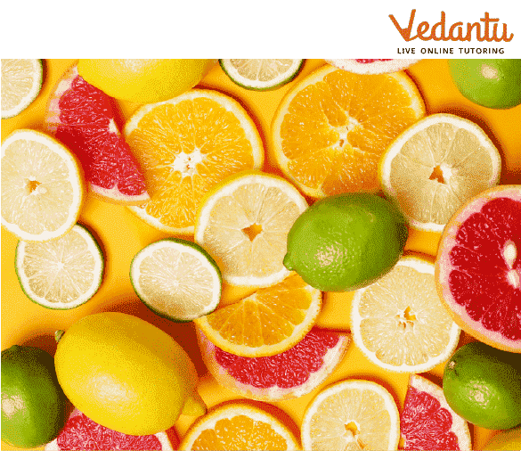 Different parts of citrus fruit