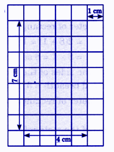 Length = 4 cm, Breadth = 7 cm
