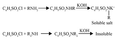 primary, secondary and tertiary amines
