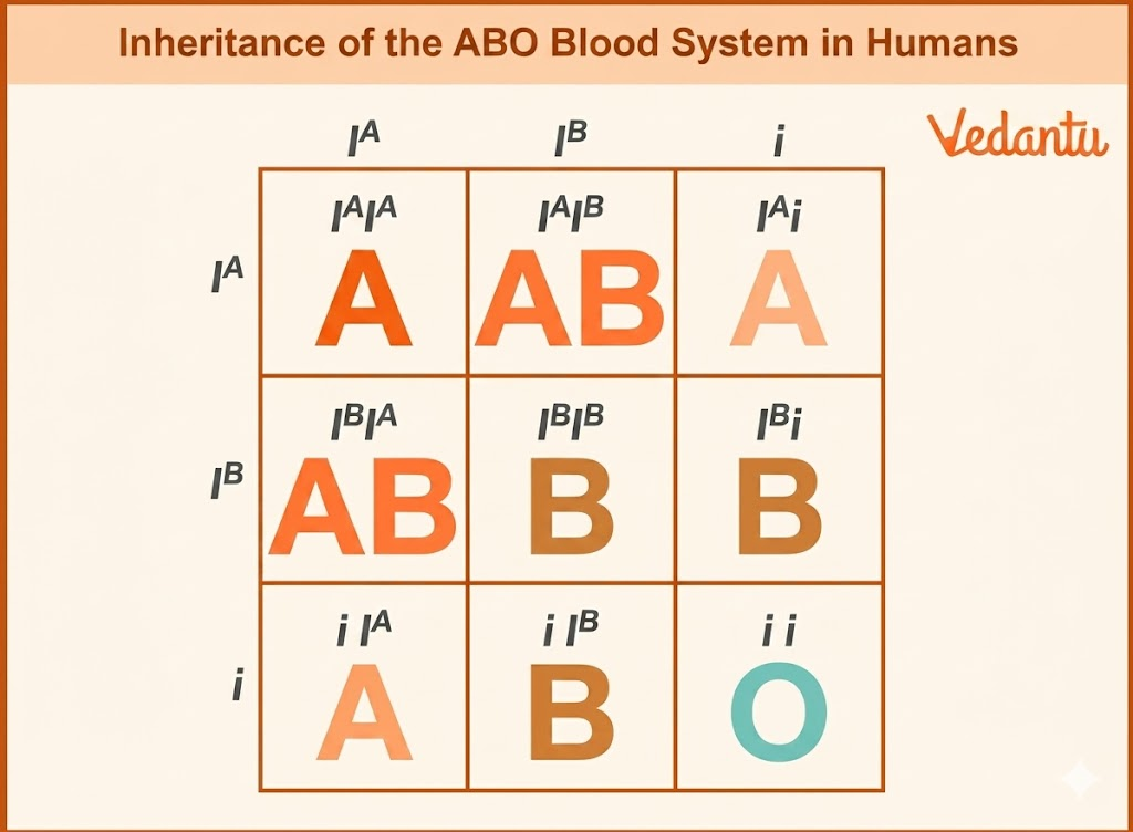 Multiple Alleles- ABO blood group