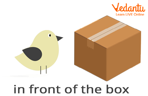 The Bird in Front of the Box