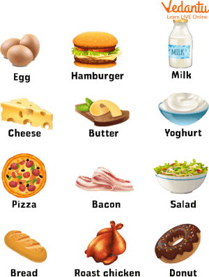 Food Names