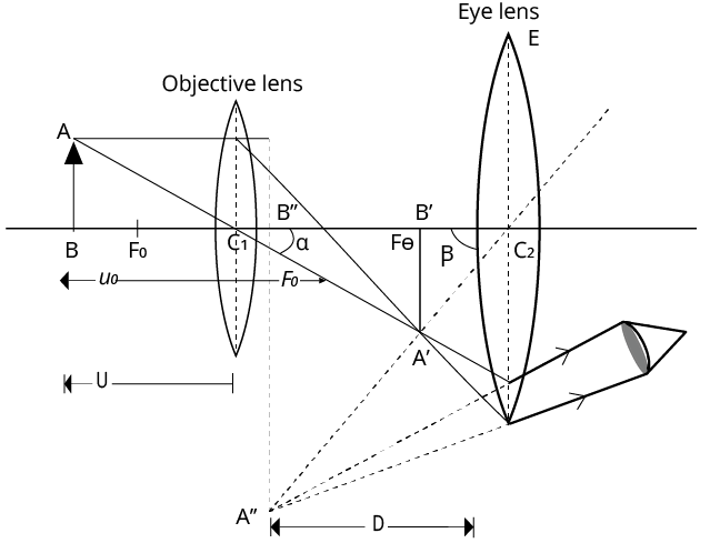 Compound microscope ray diagram