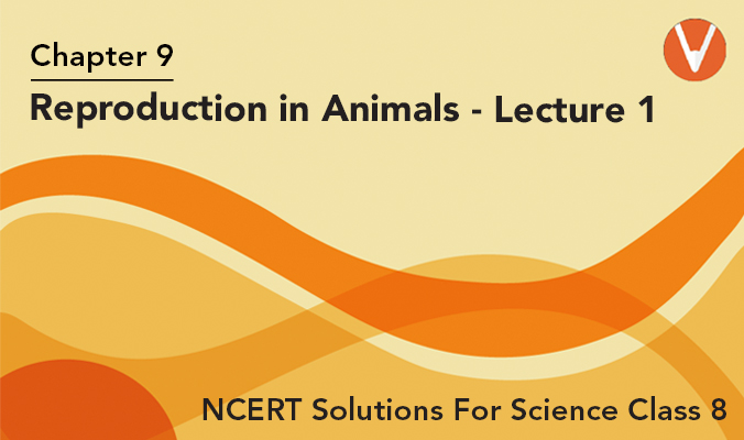 NCERT Solutions for Class 8 Science Chapter 9 Reproduction in Animals  Updated for 2022-21