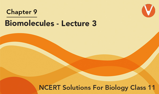 Cbse Class 11 Biology Chapter 9 Biomolecules Revision