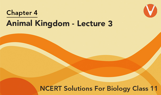 CBSE Class 11 Biology Chapter 4 Animal Kingdom NCERT Solutions