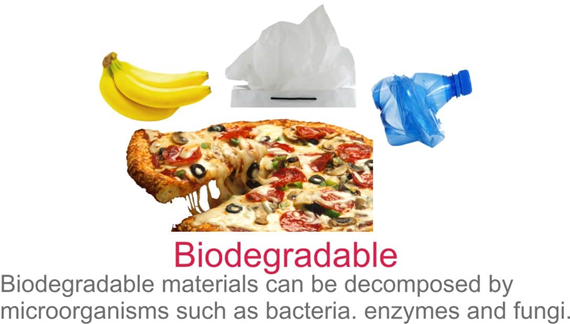 Biodegradable And Nonbiodegradable Chart