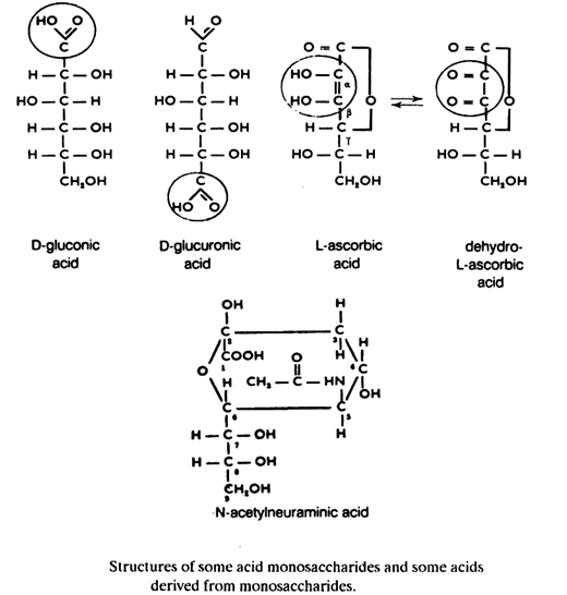 Monosaccharides Uses and Types of Monosaccharides