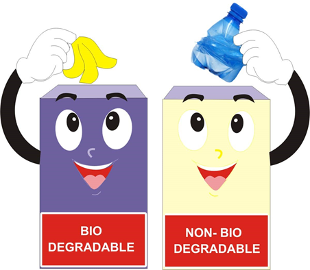 Biodegradable Waste Chart
