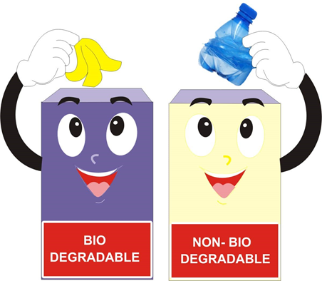 Biodegradable And Nonbiodegradable Chart