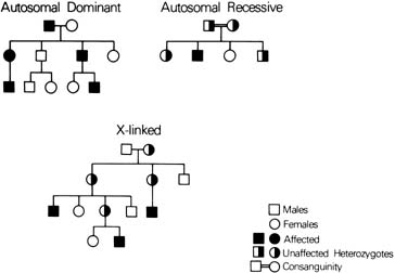 Patterns Of Inheritance Chart